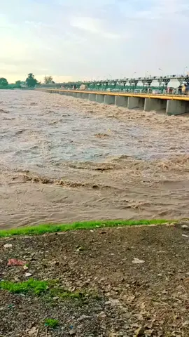 Tilawat translate... Awais Balloki Wala.. #River ravi.... fyp..🌹🌹🌹🌹🌹