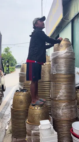 Chậu to nuôi cá trồng cây chậu nhưa sơn giả đồng cao cấp #chautrongcay #chaunhua #chaunuoica #chauto #nhuaducminh 