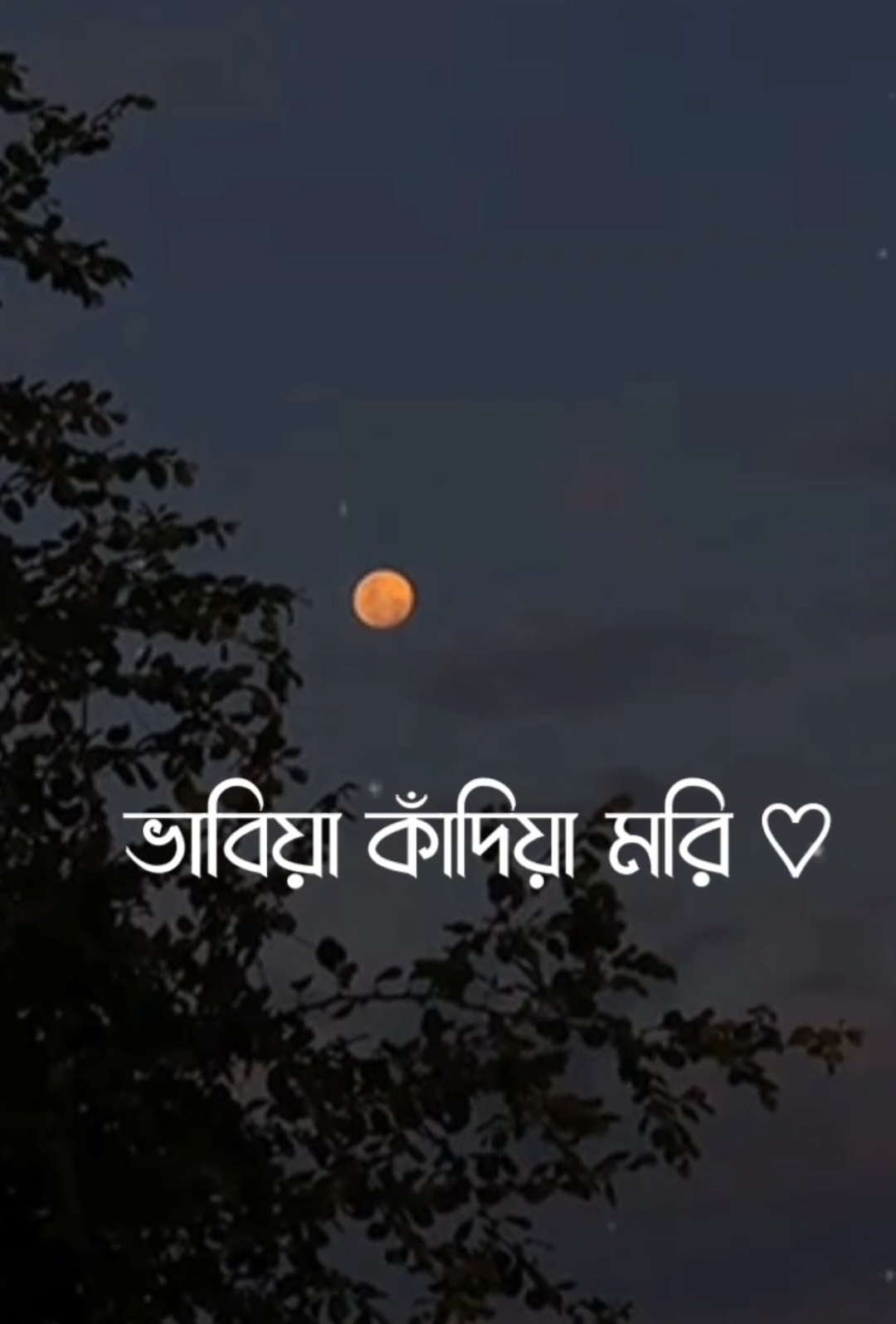 - ভাবতে ভাবতে তারে আমি  - চোখ বুজিয়া জড়াই ধরি 😌❤️‍🩹'! #saymon_lyrics_94 #lyrics #foryou #foyoupage #viralvideo @TikTok @TikTok Bangladesh 