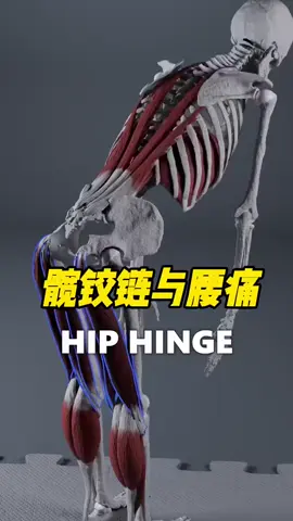 #運動按摩 #筋膜刀 #健身 #按摩 #整復 