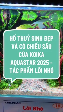 LỐI NHỎ - tác phẩm thuỷ sinh rất đẹp và có chiều sâu, được anh Trần Tuấn Anh thiết kế trực tiếp tại KOIKA AQUASTAR 2025 #aquarium #aquascape #vietnamnatureaquariumcontest2025 #koikaaquastar #koika 