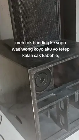seng menang tetep pilihane?#fyp #soundsystem 