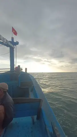 #xuhuong  đi bắt mực ae ơi #đibien🌊 #xh 