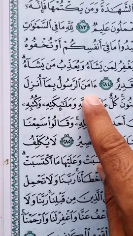 Recitation Of Quran 📖  #🤍 #quran #fyp #fypシ #viral 