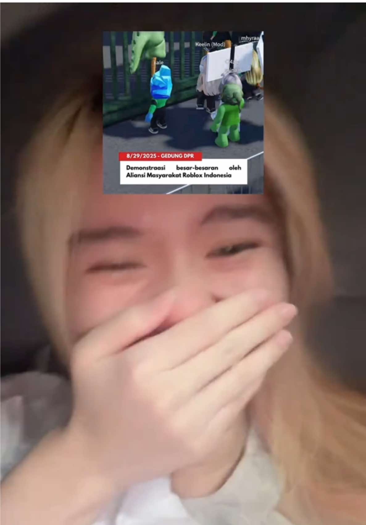 p info demo roblox dong