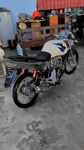 full karat😭😭#tigergank #tigeralbino #mpssstyle #herexjatim #fyppppppppppppppppppppppp 