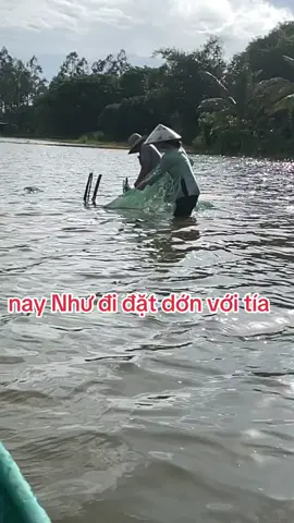 miền tây quê em #quynhnhumientay67 #canhdepthiennhien #canhdepvietnam #canhdepmientay🌾 