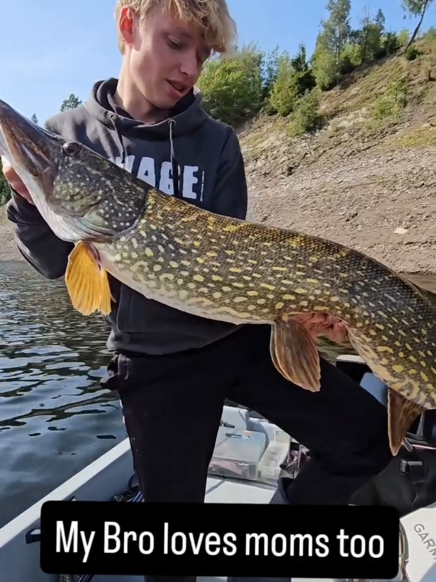 Well well...🤣 #harzfishing #hechtangeln #hecht #pike #pikefishing 