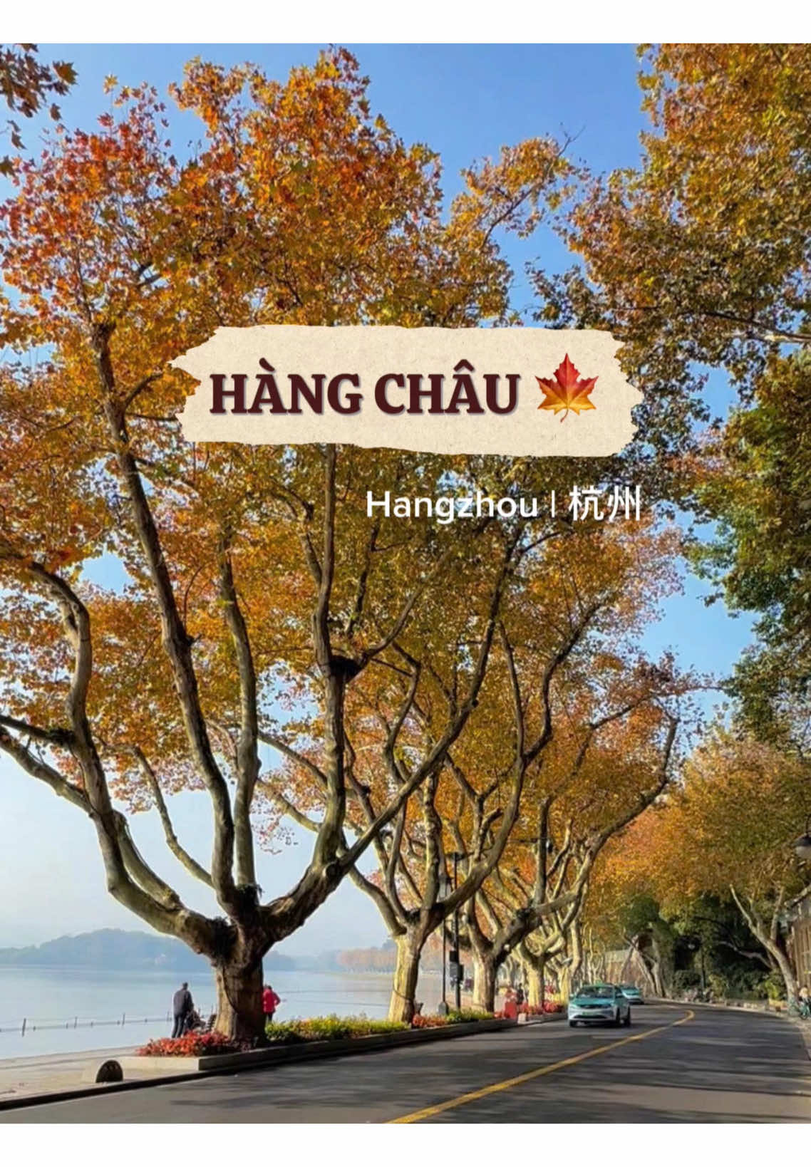 HÀNG CHÂU | Hangzhou 🍁 Mùa thu Hàng Châu chỉ cần đạp xe 🚲 vòng vòng Tây Hồ cũng đủ lãng mạn rồi ạ ❤️ 📸 Hình ảnh : xhs #winboovivu #hangzhou #Hangchau #dulichtrungquoc #tayhohangchau 