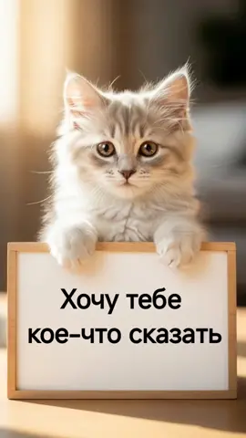 Котик с важным посланием! #котик #длятебя  #милота #комплимент #добро 