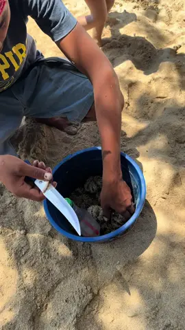 #LIVEIncentiveProgram #LIVEStory #PaidPartnership 