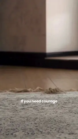 Lord, may this Monday be filled with Your peace and guidance. #jesussaves #god #holybible #worship #godisgood #jesusisking #bible #christian #blessed #prayer #amen #goodmorning 