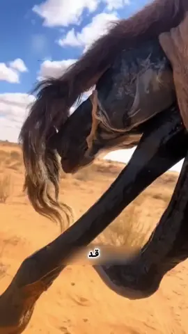 #صلوا_على_رسول_الله🤲🕋 