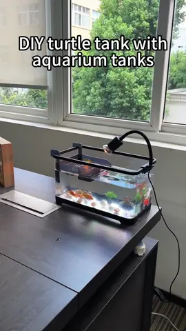 Diy turtle tank with fish tank #pet #fishtank #turtletank #turtles 