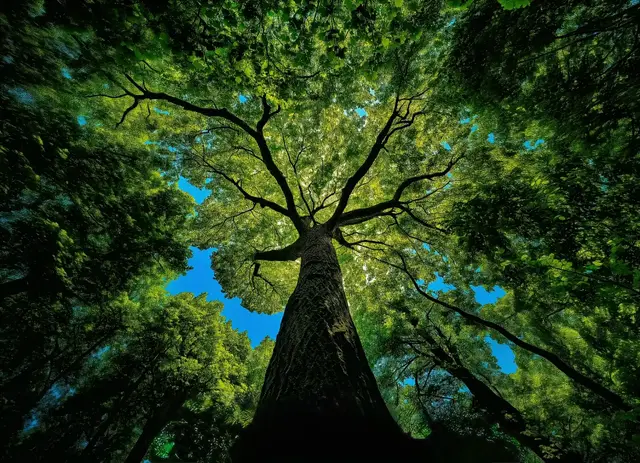 🌿 