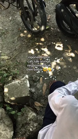 gek ayoo#fouryoupage #cseriesgank🚀 #4upage #bjn24jam #cseriesindonesia 