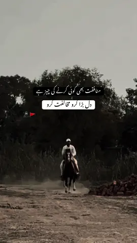 MUKHALFAT KRO 😉❤️‍🔥. . #fyp#viraltiktok#horsesoftiktok#foryoupage#unfrezzmyaccount#horselover#nezabazi#trendingsong#attitute#poetrylover 