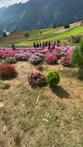 🫶💕🥰#xhh #xhtiktok 