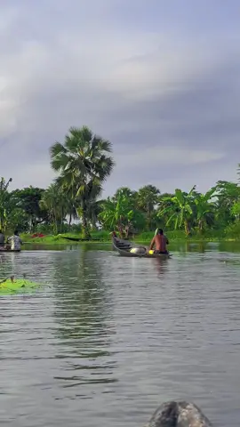মন মাঝি তার বৈঠা নারে  নৌকা চলে  আকা বাকা নদীর বাক ধরে  বিলের মাঝে চলতে থাকে  শান্ত মনে  বাইতে থাকে #Nawkermaji #banglasong #bangladesh #Beutifullenverment 