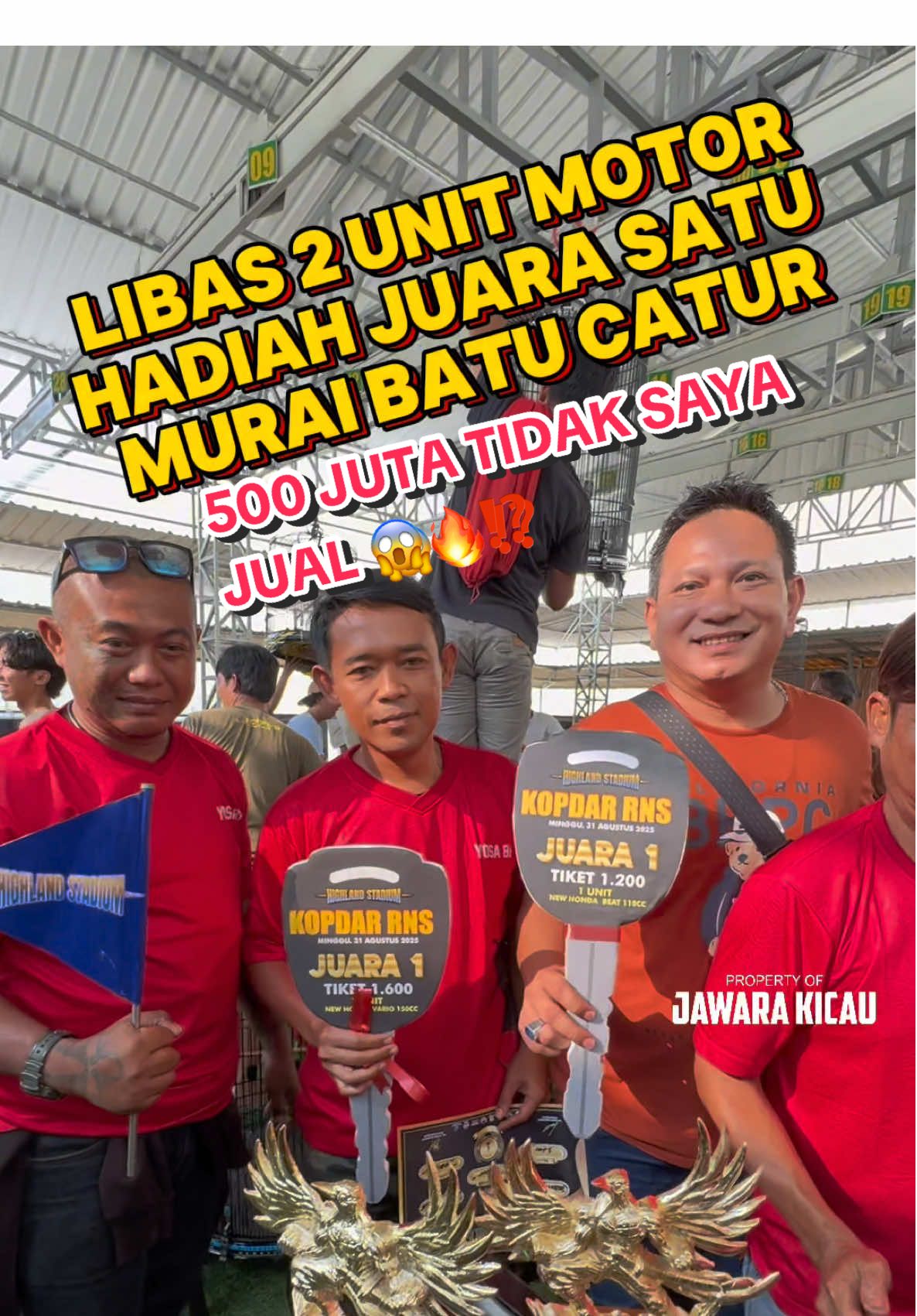 KEMUNCULAN MURAI BATU CATUR JADI SOROTAN PARA SULTAN UNTUK MEMINANG BURUNG INI 😱‼️🔥🫣 500 JUTAA MAAP TIDAK SAYA JUAL ⁉️ #kicaumania #lombaburung #muraibatu #jawarakicau #bursamuraibatu 
