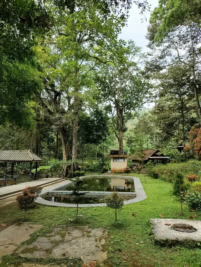 rambut monte lagi #blitar24jam #trevel #foryou #rambutmonte #fyp 