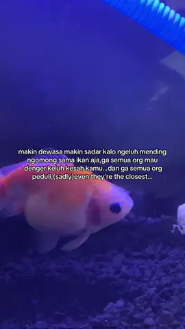 ikan aja ga peduli kita ngomong apa apalagi manusia….