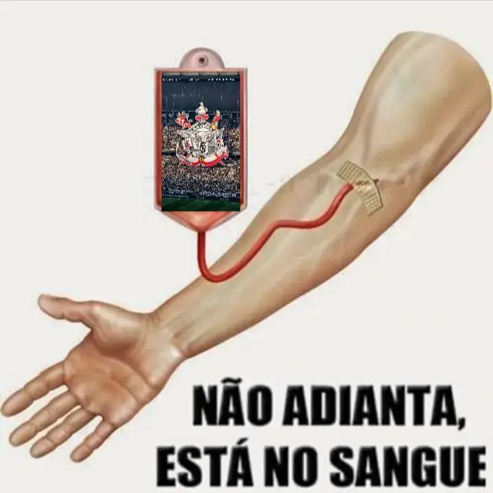 Vai Corinthians!!! 115 anos da razão da minha vida 🖤#time #aniversario #timao #vaicorinthians 