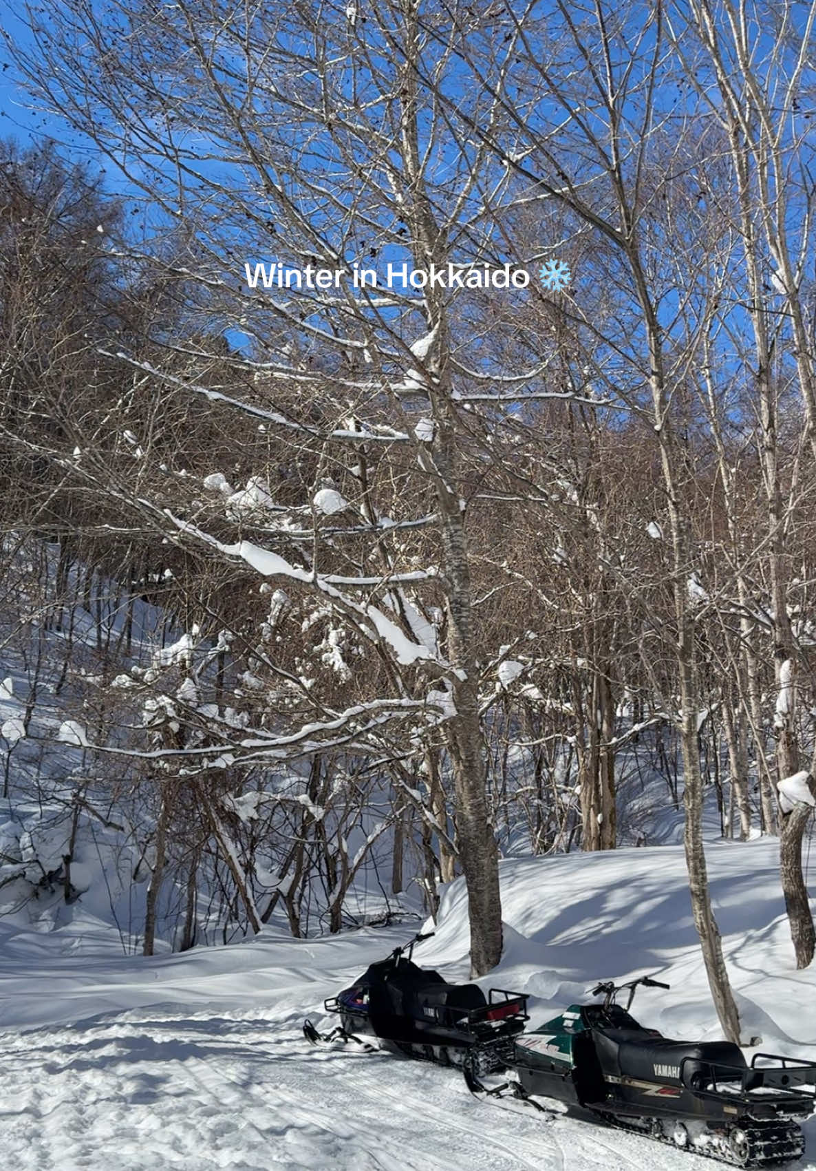 This is your sign to book that Hokkaido trip! #japan #hokkaido #sapporo #niseko #winter 