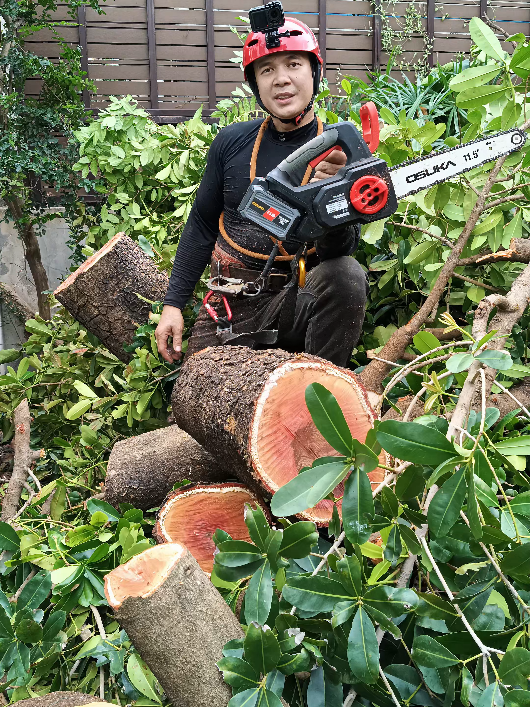 รีวิวหลังจบงาน #ตัดต้นไม้ #เลื่อยไฟฟ้าไร้สาย #เลื่อยไฟฟ้า #osukapowertool #osuka