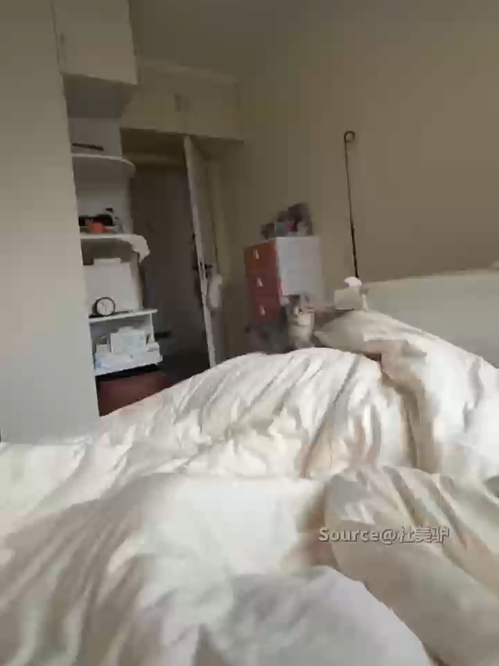 Bed = personal playground 🐾😺 #cat #kitten #cute #funny #PetsOfTikTok #fyp #playful #caturday