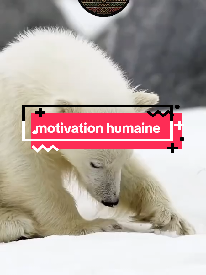 motivation humaine 🤨#conseil #lecondevie #citation #motivation #philosophie 