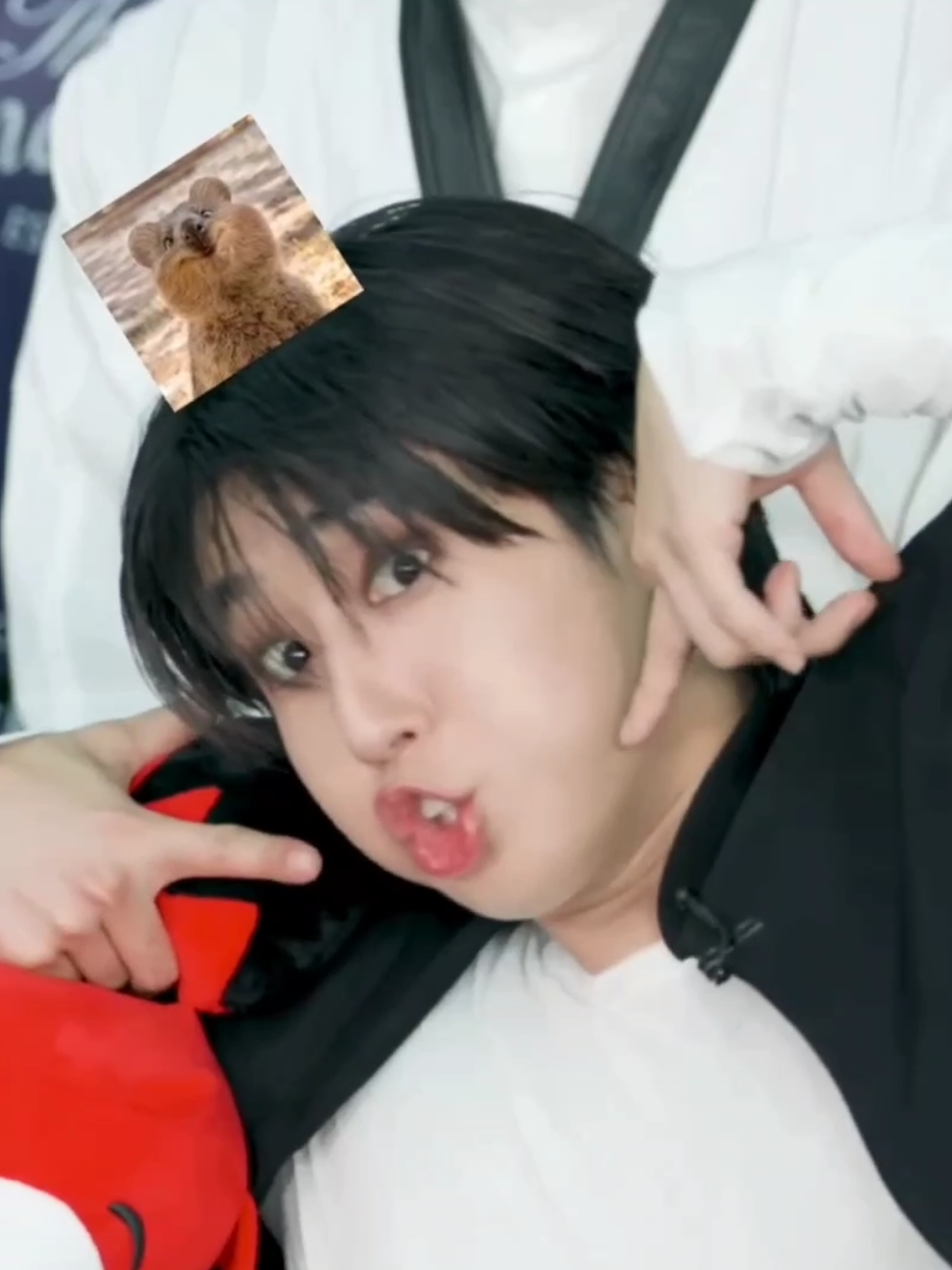 help their reactions to han's aegyo 😭😭 #straykids #skz #bangchan #leeknow #changbin #hyunjin #han #felix #seungmin #jeongin #skzstay #straykidsstay #straykidsedit #kpop #fyp 