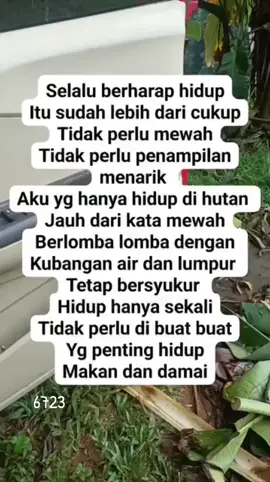bekerja 
