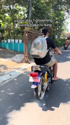 gagah tatoan numpak king bleyer mosok ra onar malah ngeterke kucing adus🤣 #fyp #rxking #rxkingbleyer #bleyer135 #bleyeranrxking #rxking135cc 