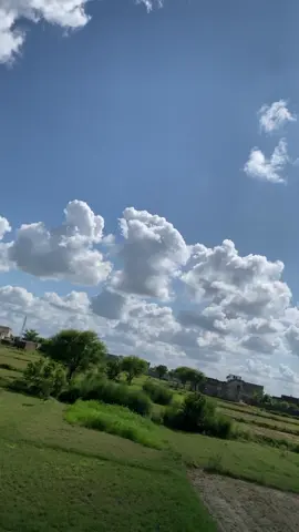 زندگی میں بہت کچھ ہمارے لیے نہیں ہوتا۔🍂