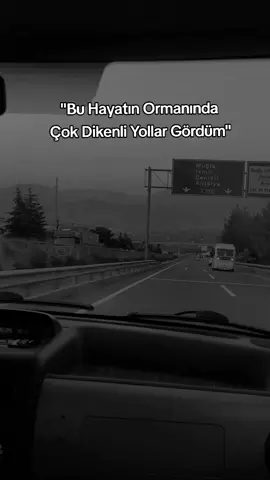 #keşfet #fyviral #buhayatınormanındaçokdikenliyollargördüm #story 