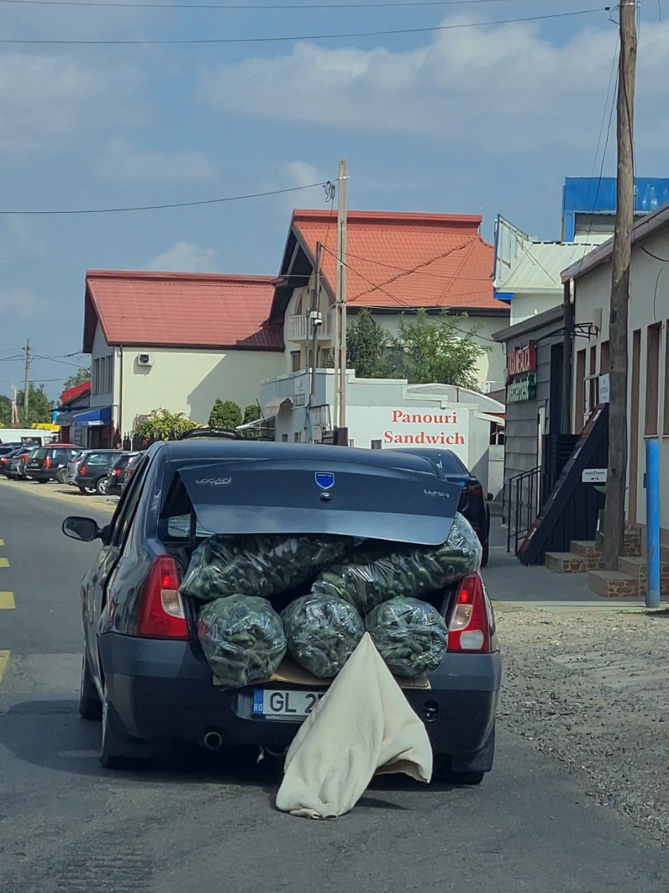 matca 01.09.2025 😳 #matca #romania #masini #fyp #castraveti 