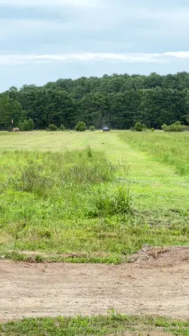 it was time to bush hog the field, and it looks so much better #bushhogging #ourlittlefarm #farmtok 