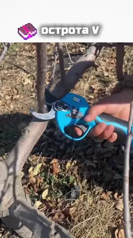 Бедный камень…