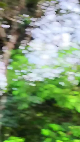 Chị 🦋 Việt Nam :)) #fbvuongvanduoc #xedovietnam #xedokeng #xedodep #trend #xuhuongtiktok #bangcocthailand🇹🇭 