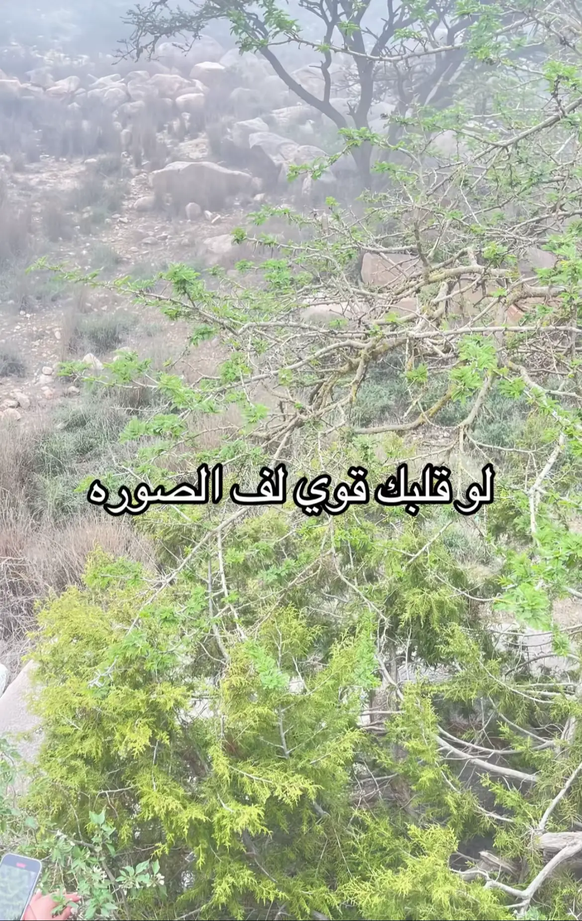 #سبحان_الله_وبحمده_سبحان_الله_العظيم #لاحول_ولا_قوة_الا_بالله_العلي_العظيم #استغفرالله #الجنة #قران_كريم 