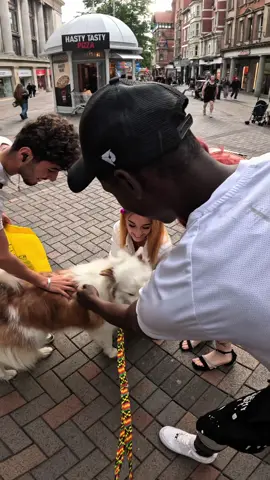 Interactions with my dog!!  #husky #viral #fyp #famous #doglover 