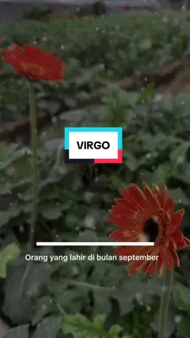 Percaya ngga 😁 #virgo #virgozodiacsigns #virgo♍️ 