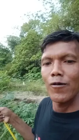 pye seng nguculi