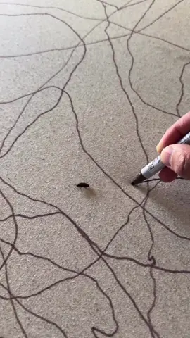 Artist: patriciotejedo 👨‍🎨 📩 DM ,,Art” to be featured on @abstractart4you and show your artwork a broader community 🙌 #artist #painter #paintwork 