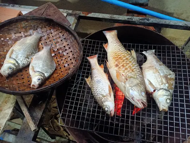 បង់ត្រីនៅបឹង យកមកអាំងនៅផ្ទះភ្លៀងពេកអាំងអត់កើតទេនៅបឹង🐟🐟🐟🌧️🌧️🌧️😁😁😁🥰