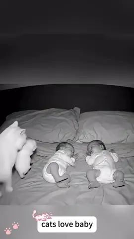Cats love baby 😹❤️#tiktok #cat #catsoftiktok #Love #baby 