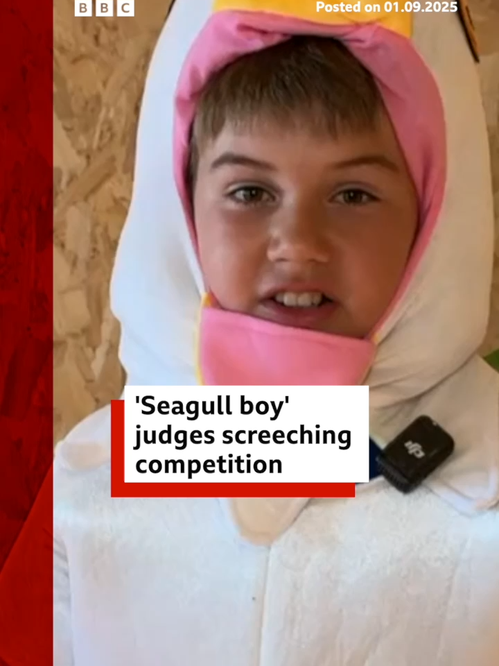 Cooper was the guest of honour at the first ever Weston-Super-Mare Seagull Screeching Championship. #Seagull #SeagullScreechingChampionship #Animals #Contest #WestonSuperMare #UK #BBCNews
