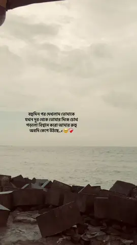 বহুদিন পর দেখলাম তোমাকে যখর দূর থেকে তোমার দিকে চোখ পড়লো বিশ্বাস করো আমার রুহু অবদি কেপে উঠছে..<🥹❤️‍🩹#foryou #অনেকদিনপরেতোমাকেদেখলেম#fyp #unfrezzmyaccount #plzviral🥺🥺🙏🙏foryoupage #foryoupage #bdtiktokofficial🇧🇩 #fyppppppppppppppppppppppp #1millionaudition #foryou @TikTok Bangladesh @TikTok @#foryou 