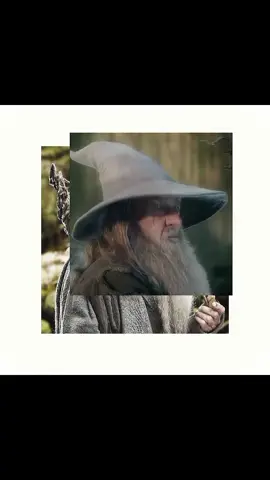 #GANDALF -Such a diva, he deserves more recognition😔 . pause to see what photo you get when you pause🌚 #fyp #hobbit #lotr #CapCut 